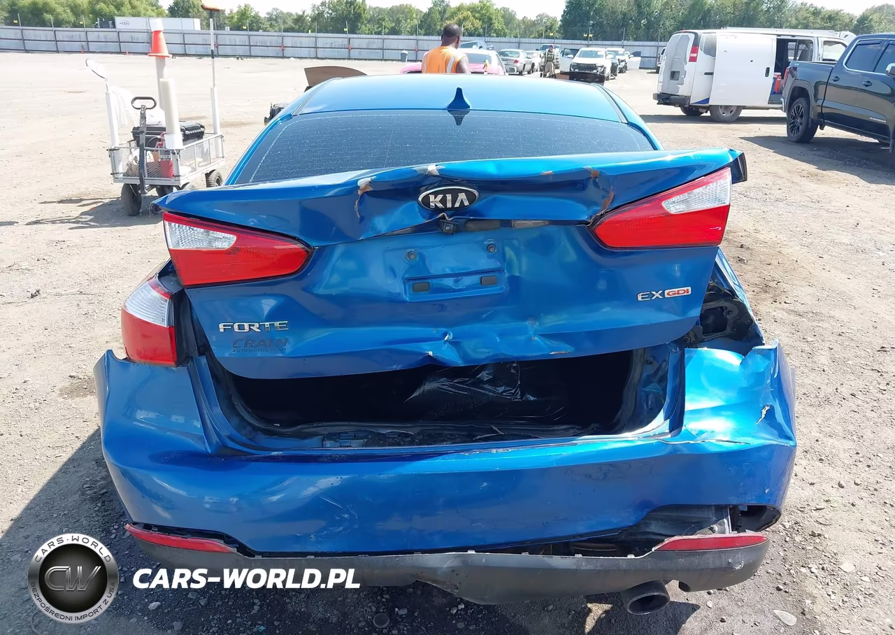 2014 Kia Forte Ex VIN:KNAFX4A89E5057063 - 19