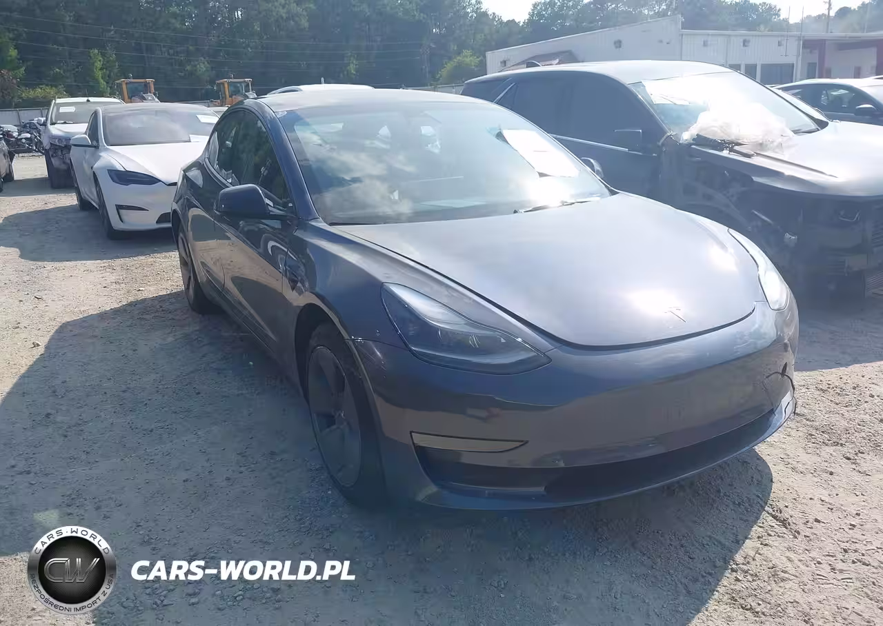 2023 Tesla Model 3 Rear-Wheel Drive