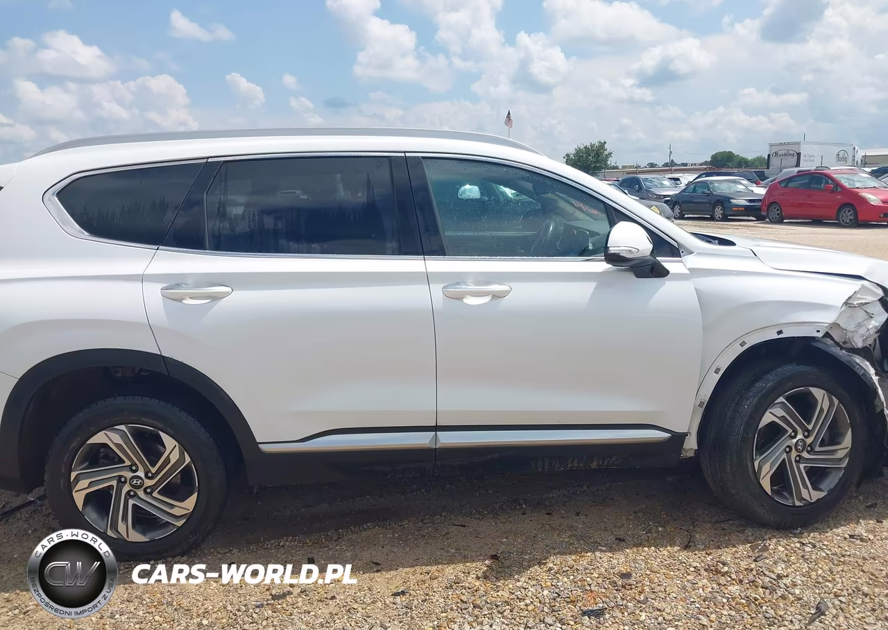 2021 Hyundai Santa Fe Sel VIN:5NMS3DAJ7MH349936 - 13