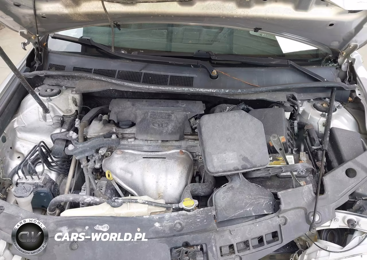 2014 Toyota Camry Se VIN:4T1BF1FK1EU326374 - 10