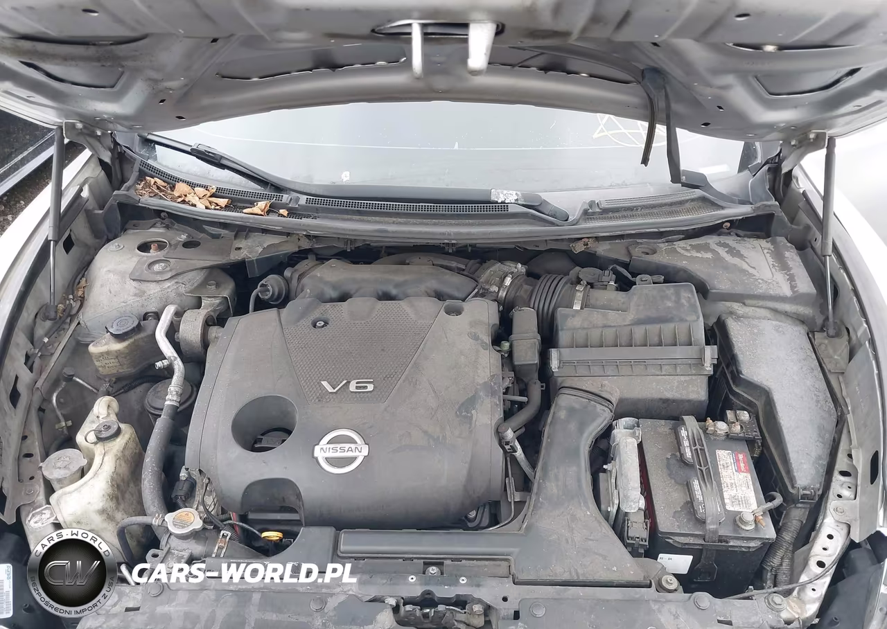 NISSAN MAXIMA VIN:1N4AA51EX9C800752 - 10