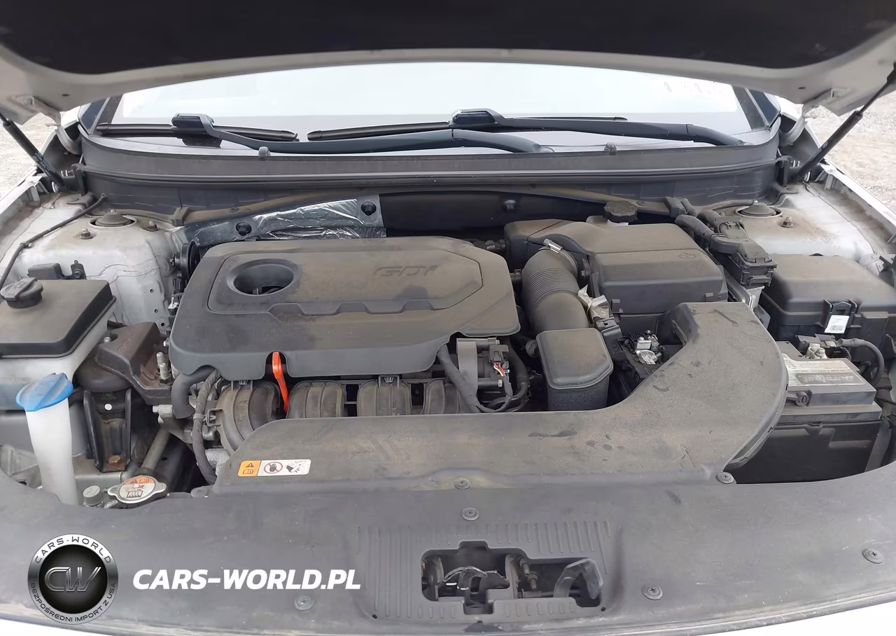 2015 Hyundai Sonata Se VIN:5NPE24AF5FH025045 - 10