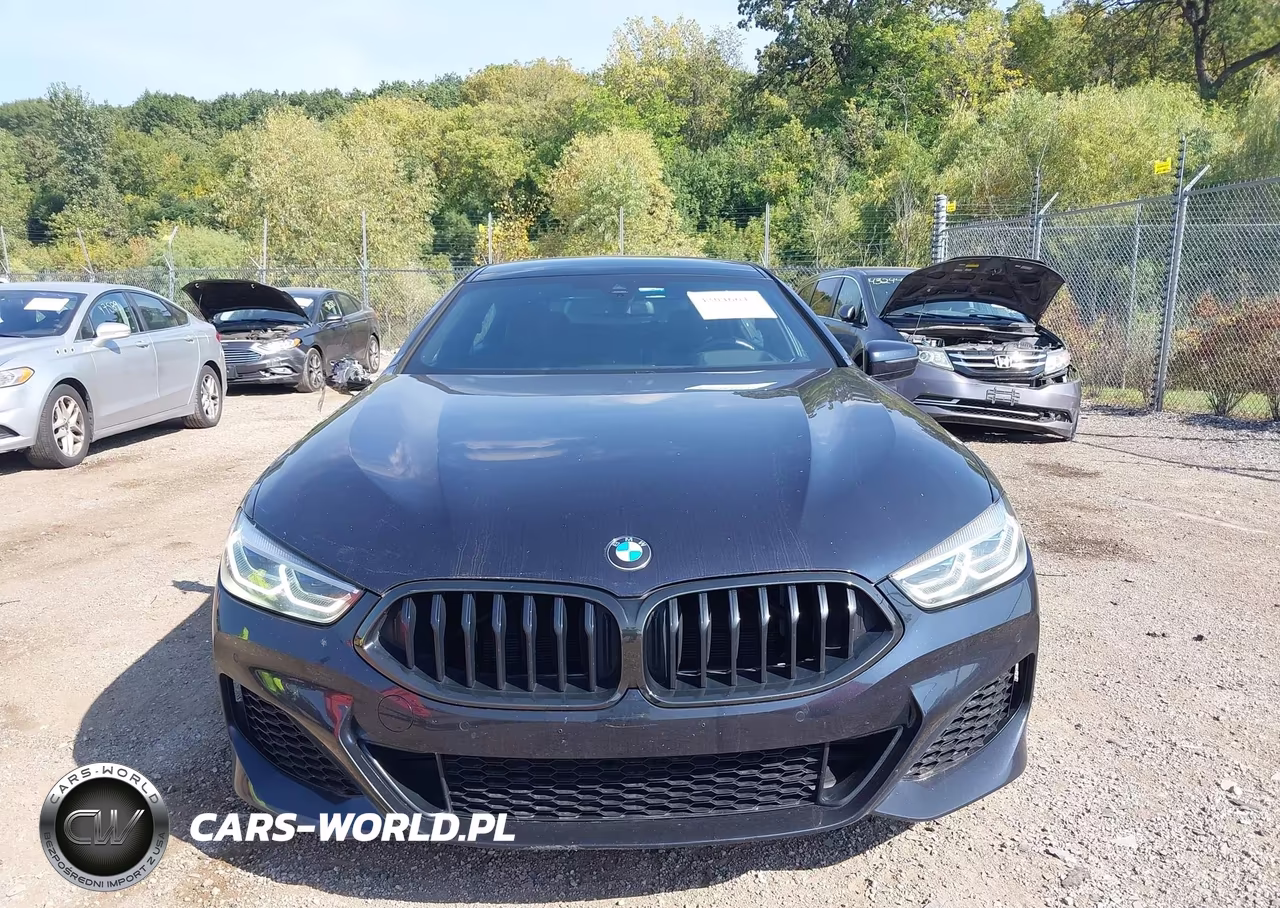 2020 BMW 840I Gran Coupe xDrive VIN:WBAGV4C04LCD10884 - 12