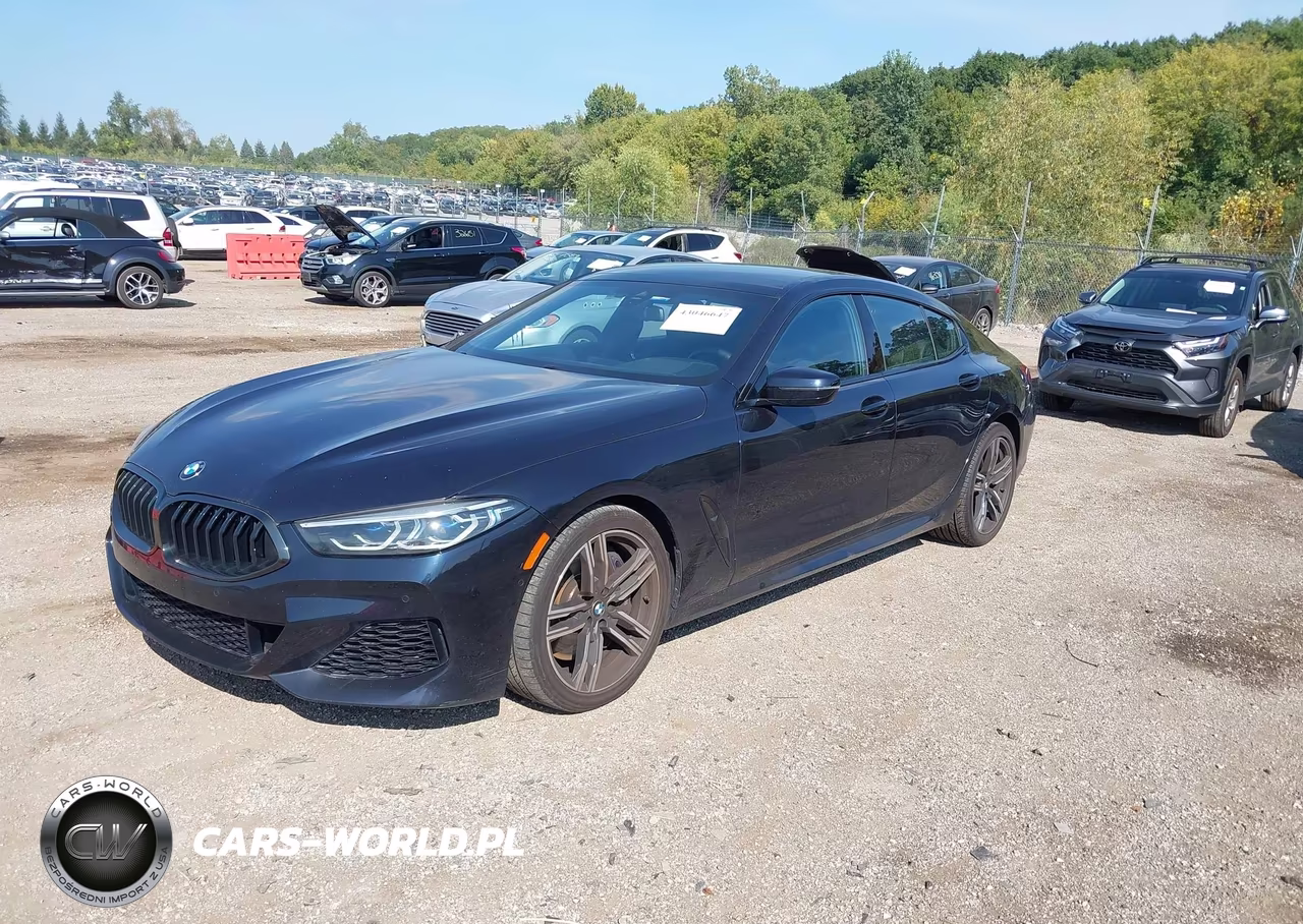 2020 BMW 840I Gran Coupe xDrive VIN:WBAGV4C04LCD10884 - 2