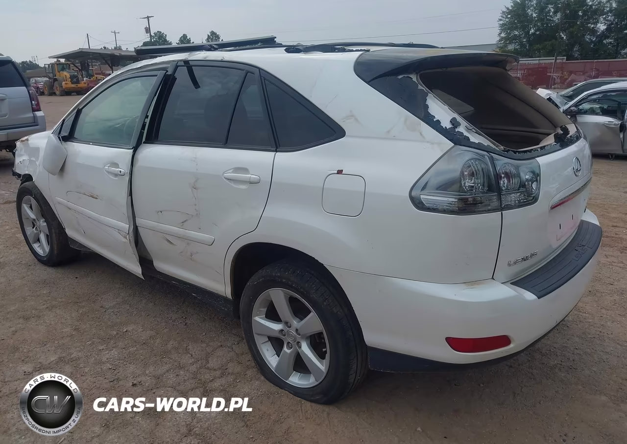 2004 Lexus Rx 330 VIN:JTJGA31U640041640 - 3