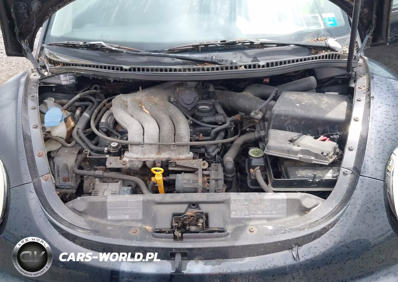 1998 Volkswagen New Beetle VIN:3VWBB61C6WM050600 - 10