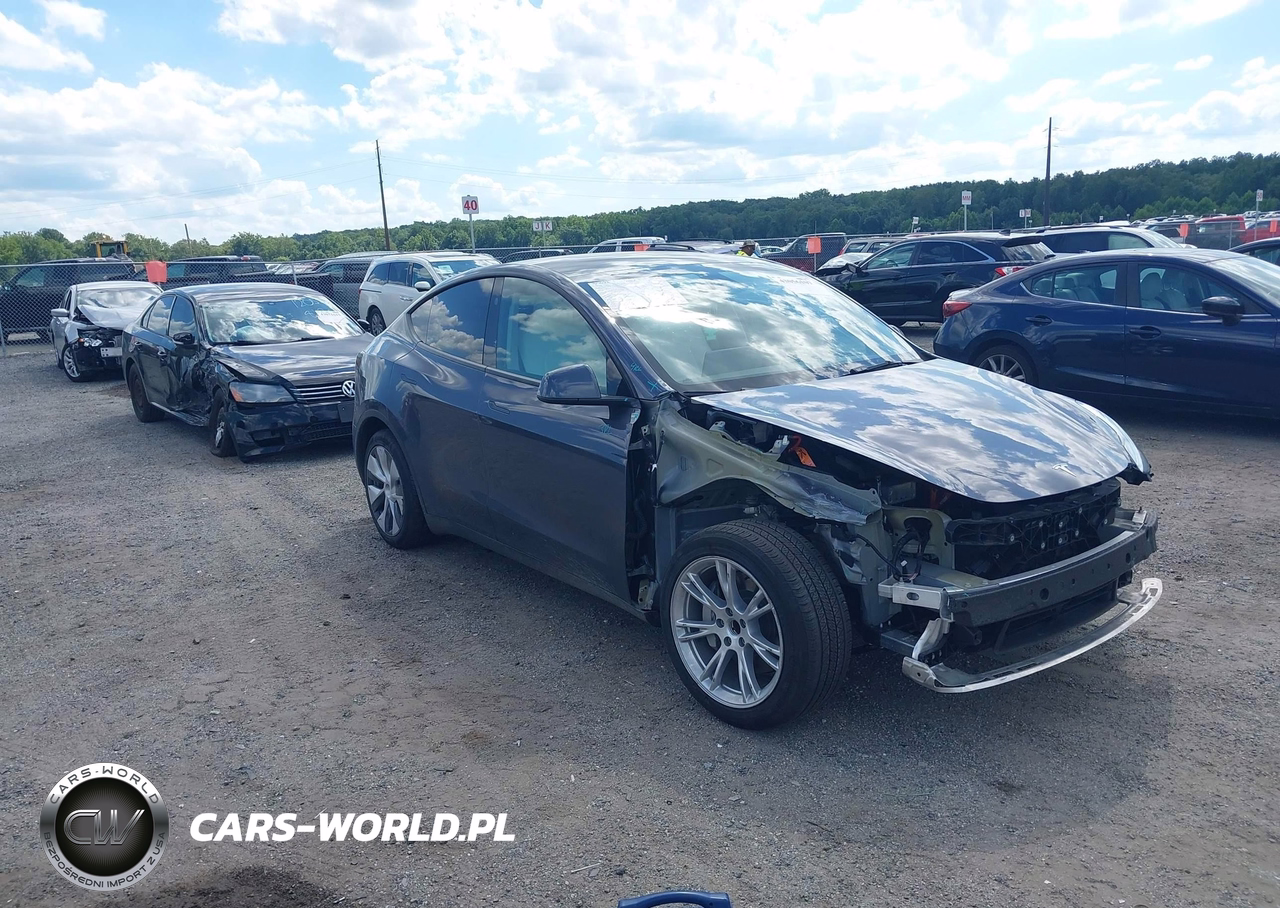 2023 Tesla Model Y Rwd