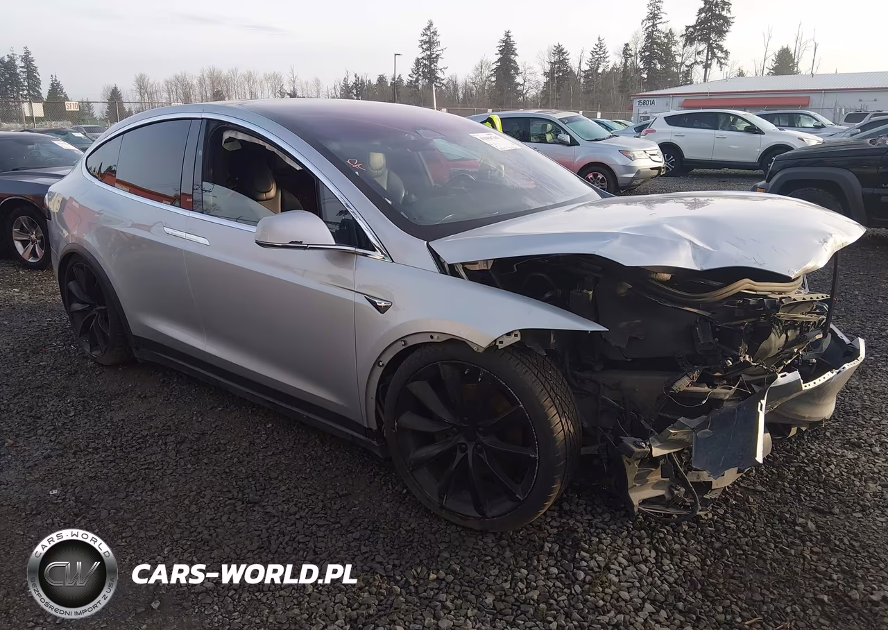 2017 Tesla Model X 100D-75D-90D
