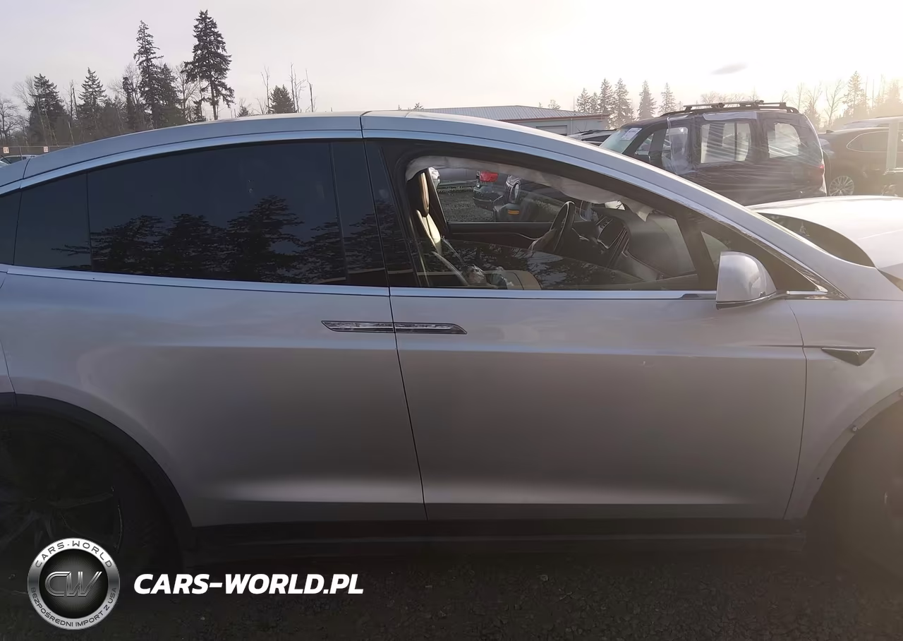 2017 Tesla Model X 100D-75D-90D VIN:5YJXCBE21HF065481 - 13