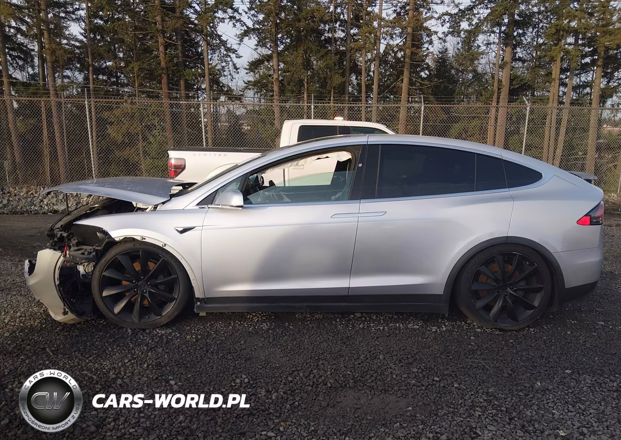 2017 Tesla Model X 100D-75D-90D VIN:5YJXCBE21HF065481 - 14