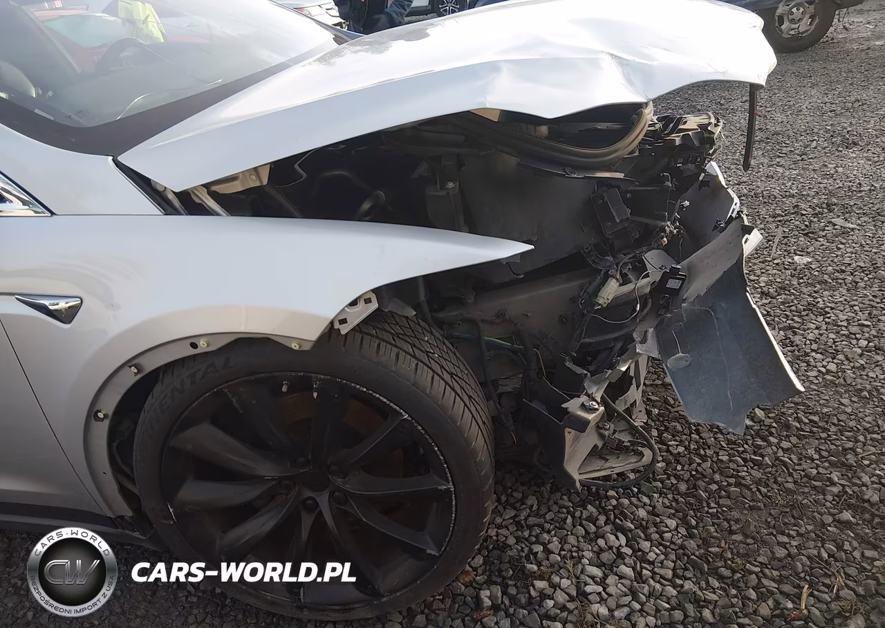 2017 Tesla Model X 100D-75D-90D VIN:5YJXCBE21HF065481 - 19