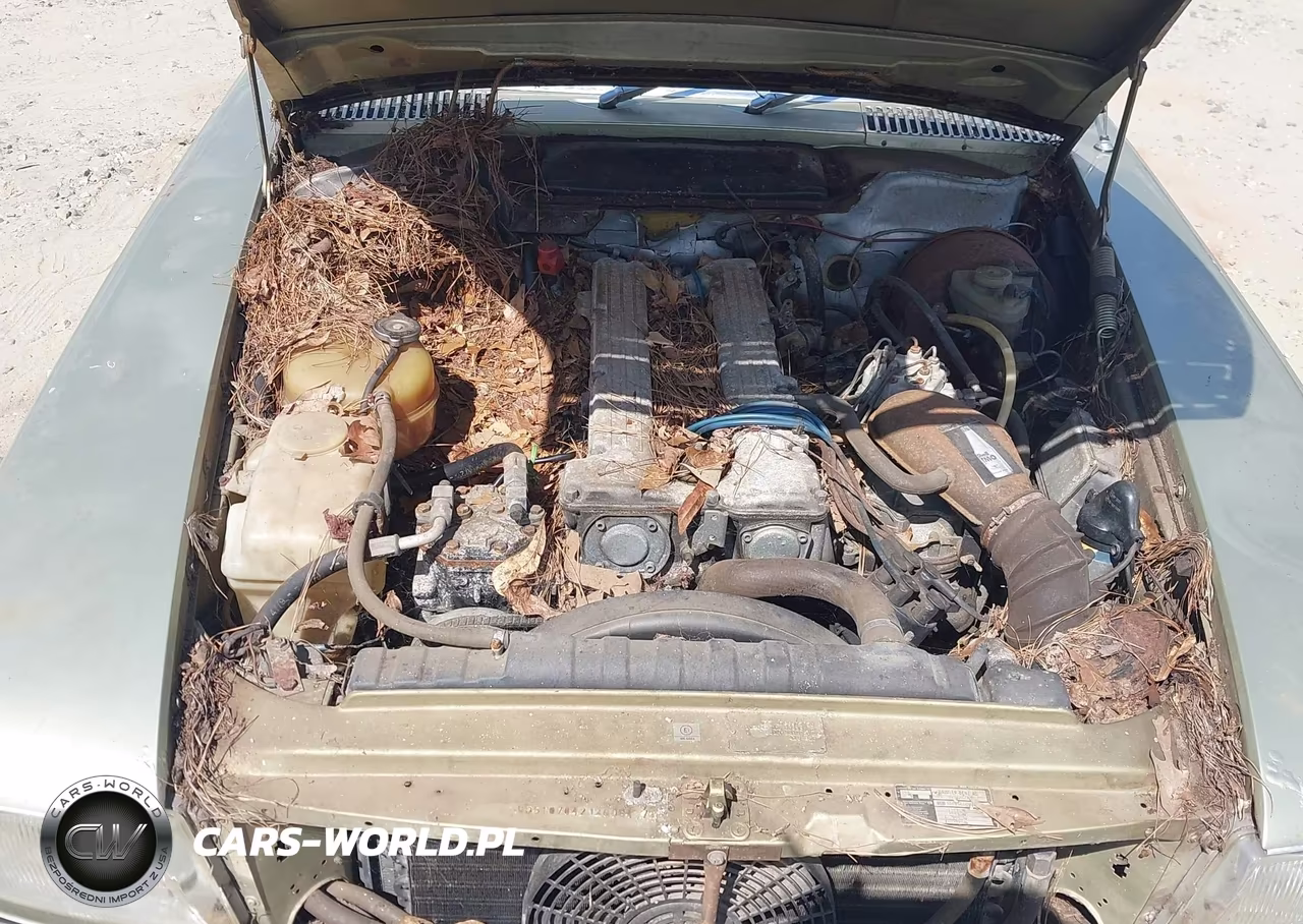 1980 Mercedes-Benz 280 Series VIN:WDB10704212008417 - 10