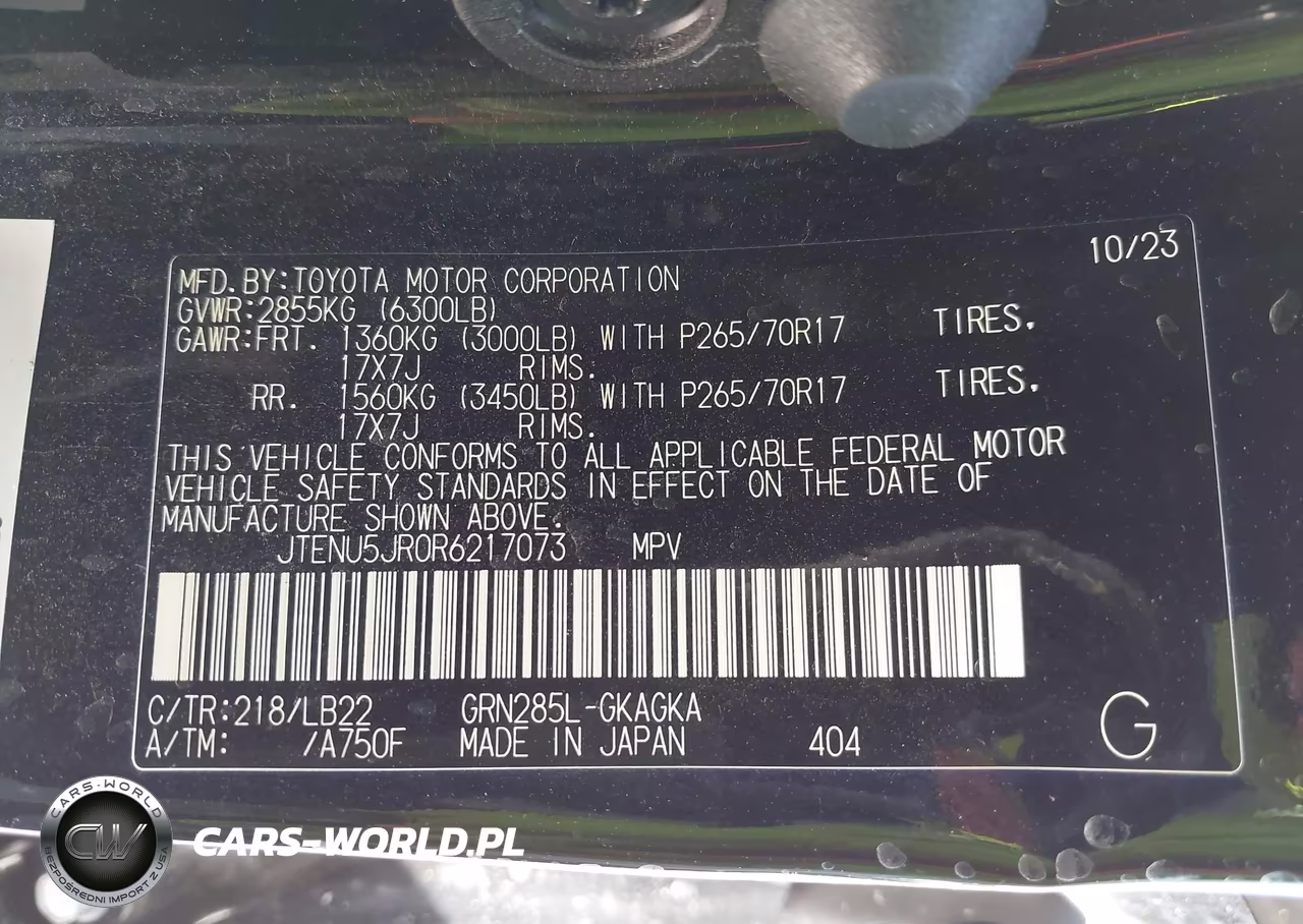 2024 Toyota 4Runner Sr5 Premium VIN:JTENU5JR0R6217073 - 9