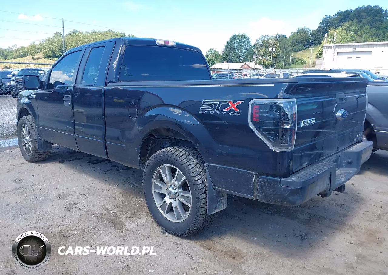 2014 Ford F-150 Stx VIN:1FTFX1EF8EKG44527 - 3