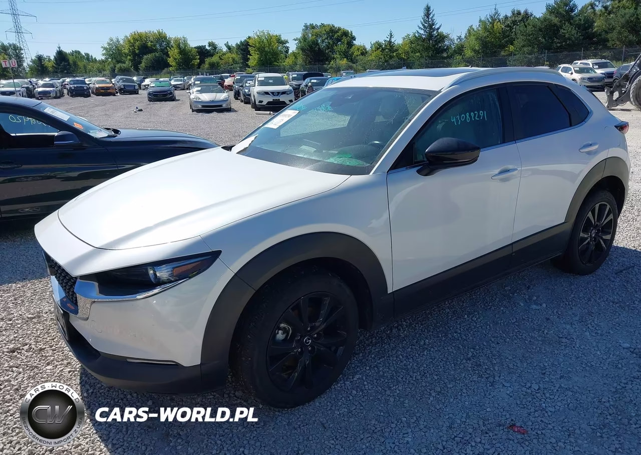 2021 Mazda Cx-30 2.5 Turbo VIN:3MVDMBAY2MM312523 - 2