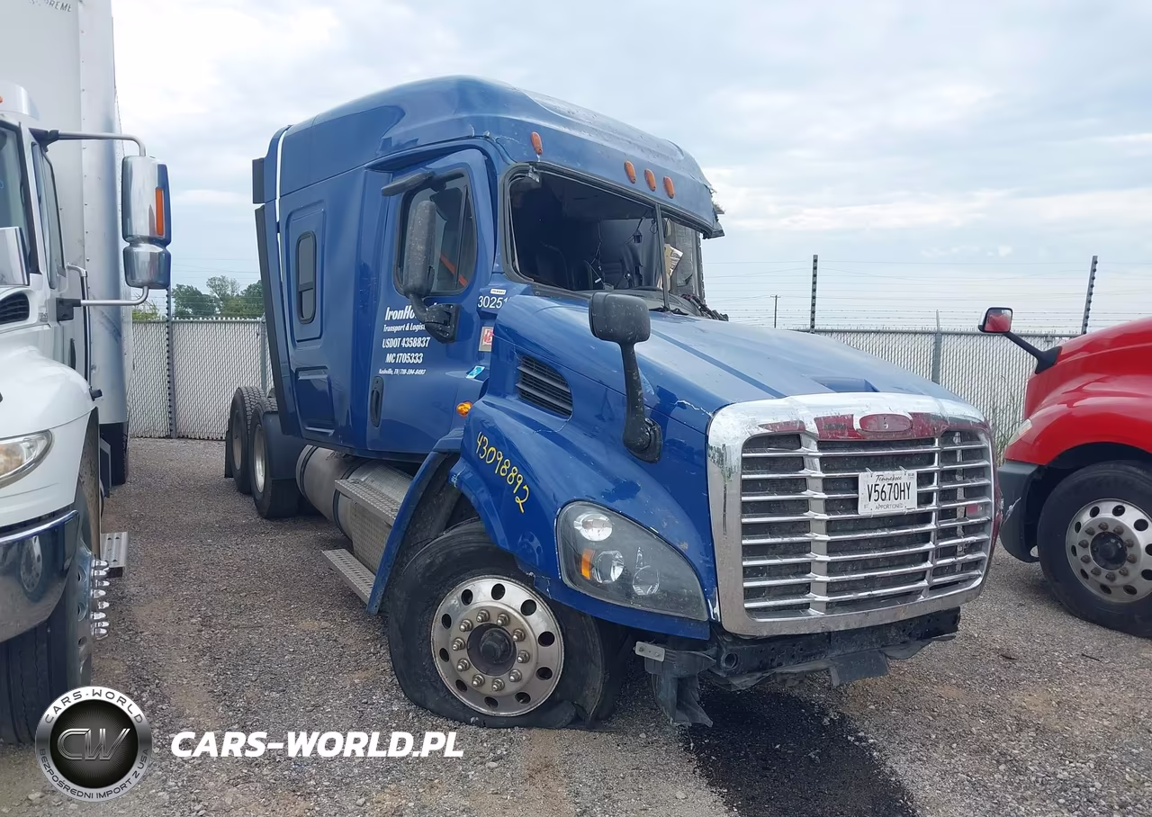 2020 Freightliner Cascadia 113