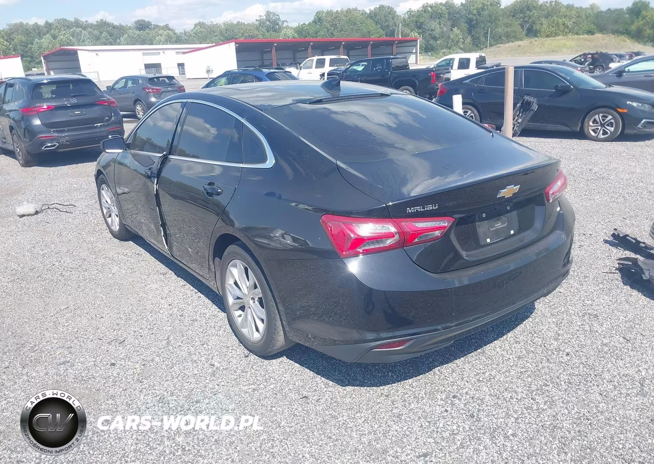 2019 Chevrolet Malibu Lt VIN:1G1ZD5ST6KF221692 - 3