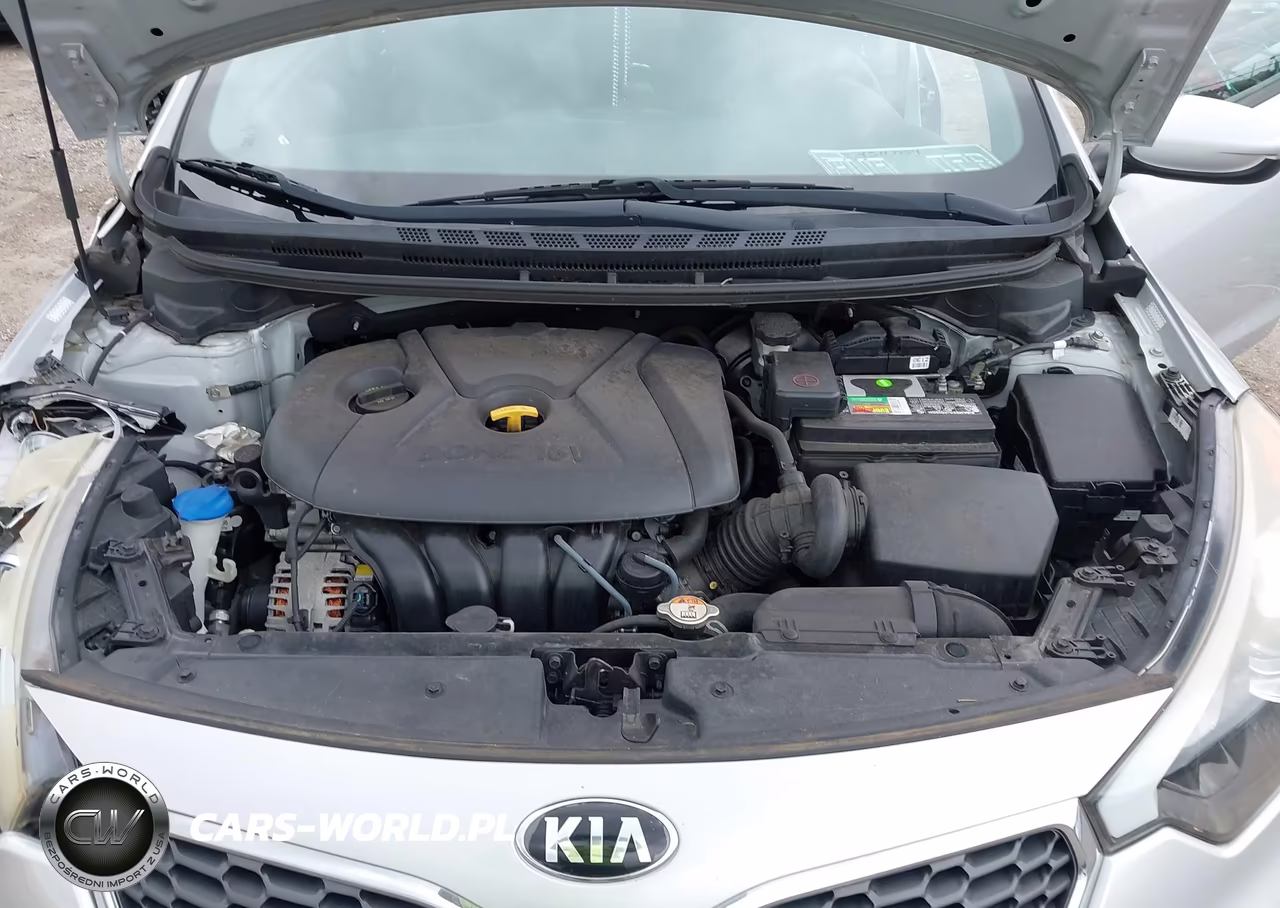 2016 Kia Forte Lx VIN:KNAFK4A63G5602660 - 10