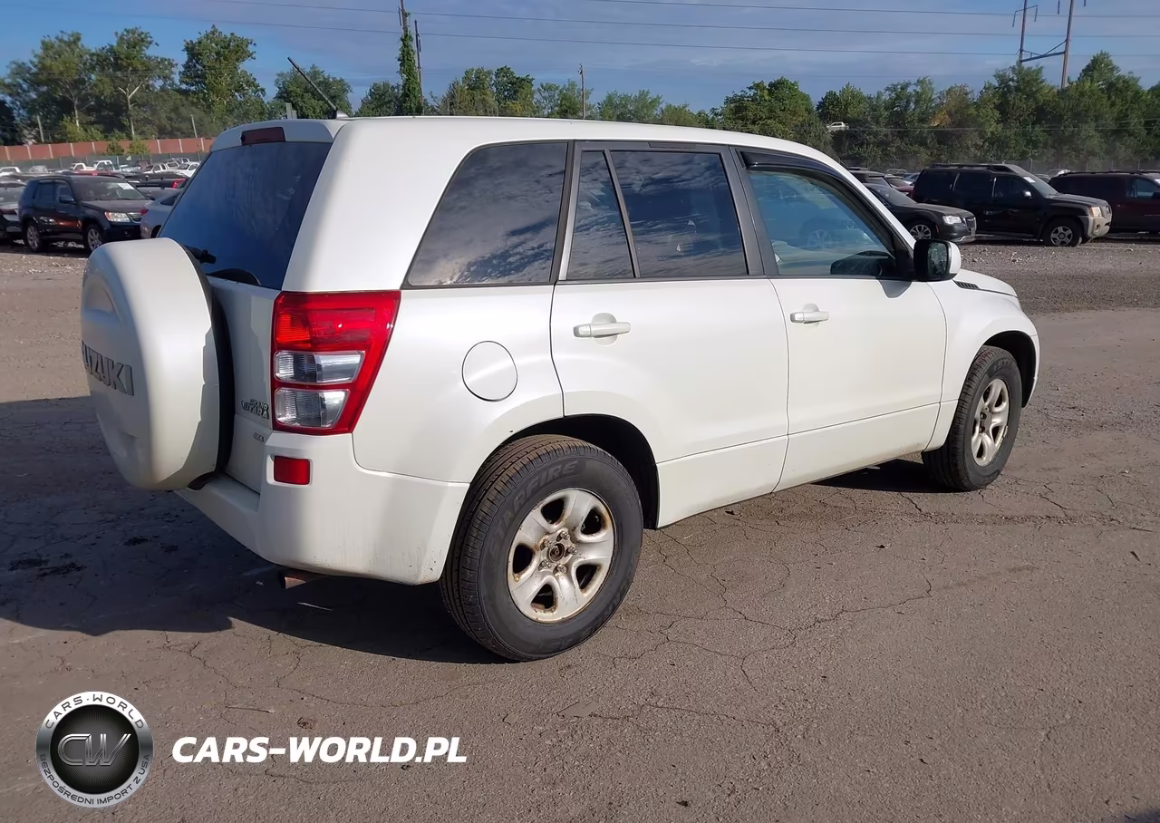 2010 Suzuki Grand Vitara Premium VIN:JS3TD0D21A4110094 - 4