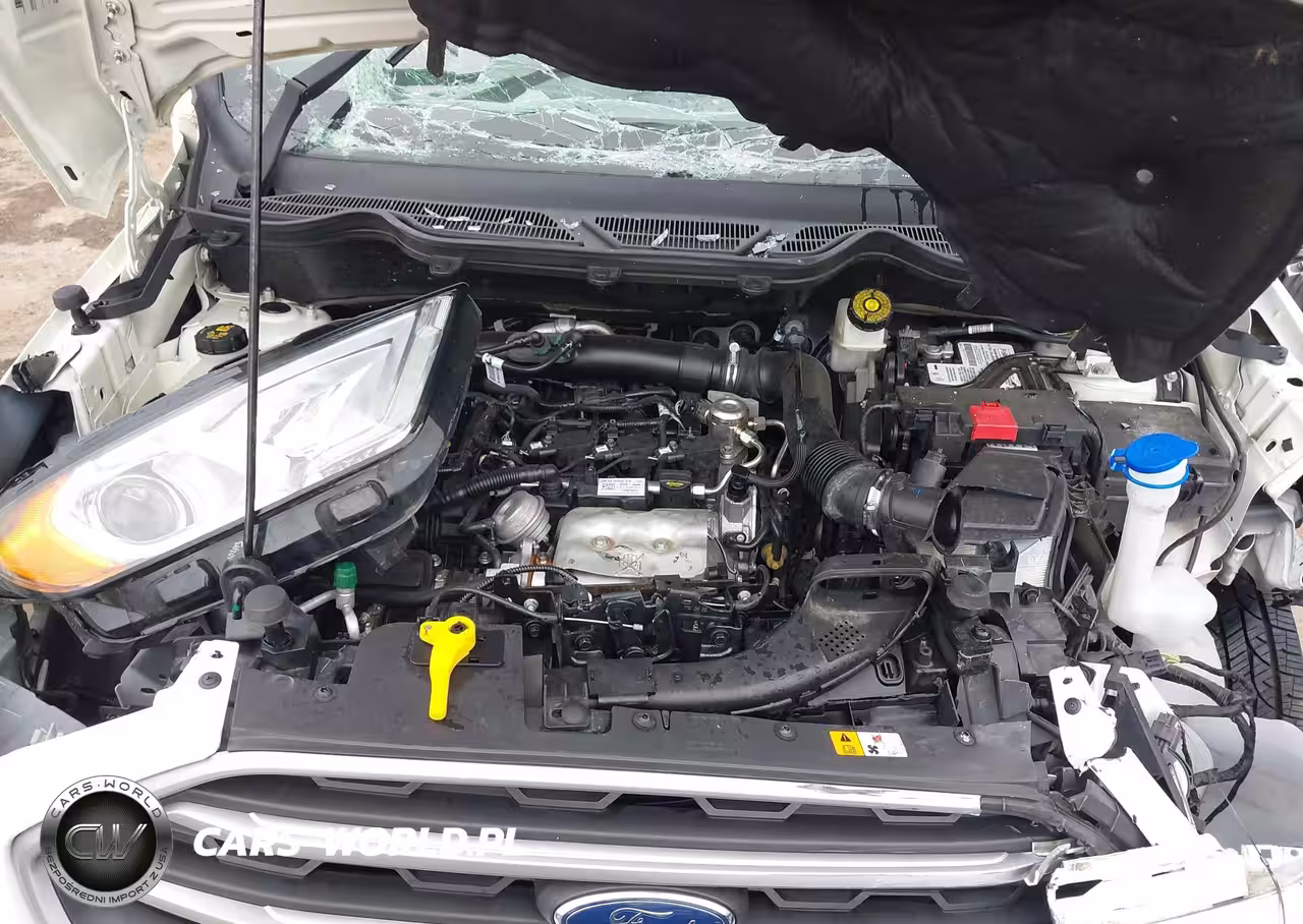 2021 Ford Ecosport Se VIN:MAJ3S2GE4MC437353 - 10