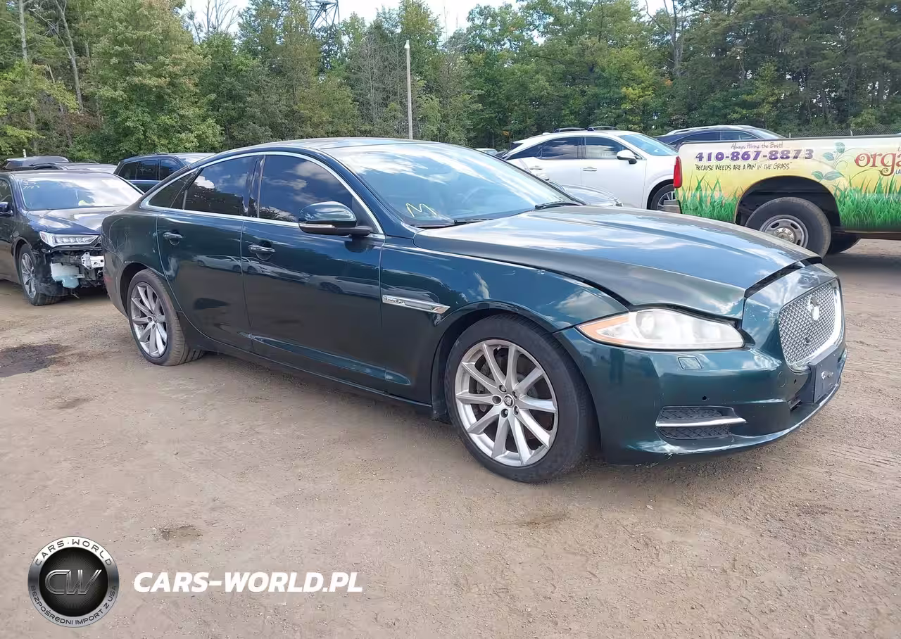 JAGUAR