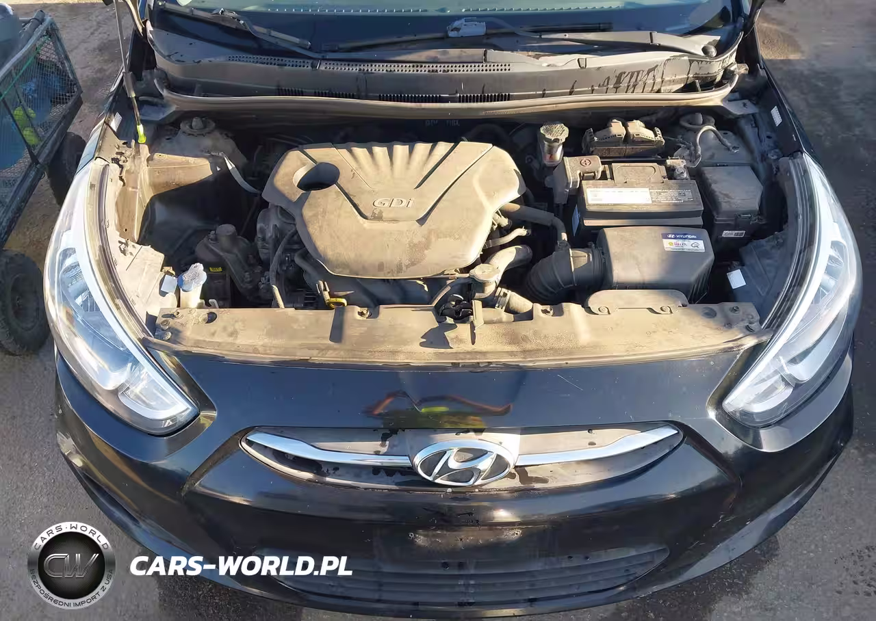 2017 Hyundai Accent Se VIN:KMHCT5AE1HU326109 - 10