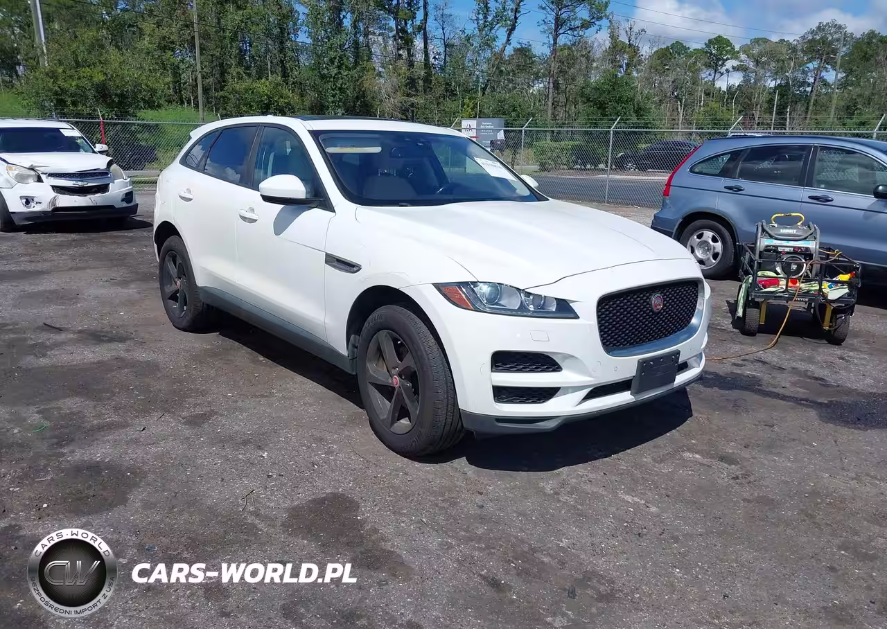 JAGUAR
