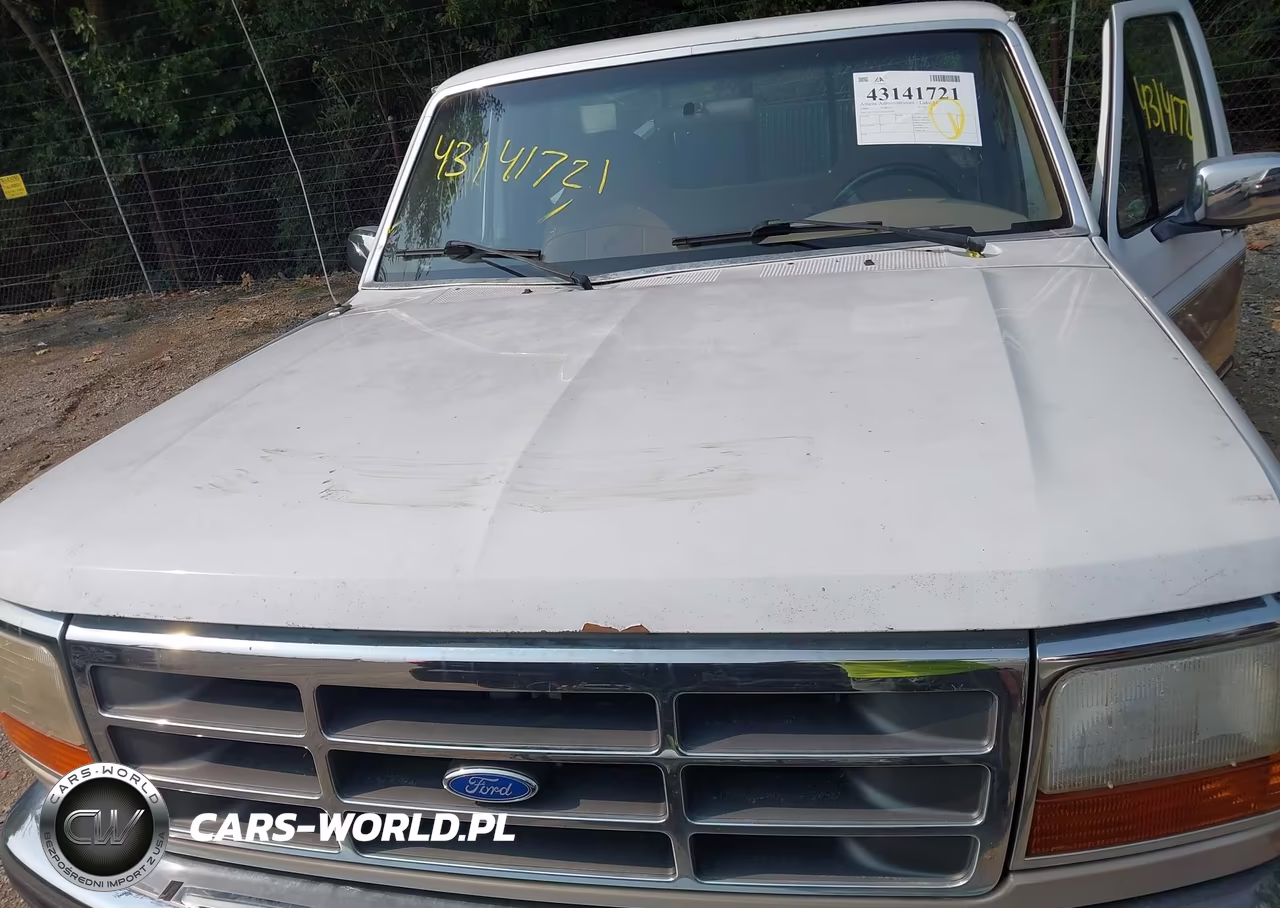 1996 Ford F150 VIN:1FTEF15N3TLA26576 - 10