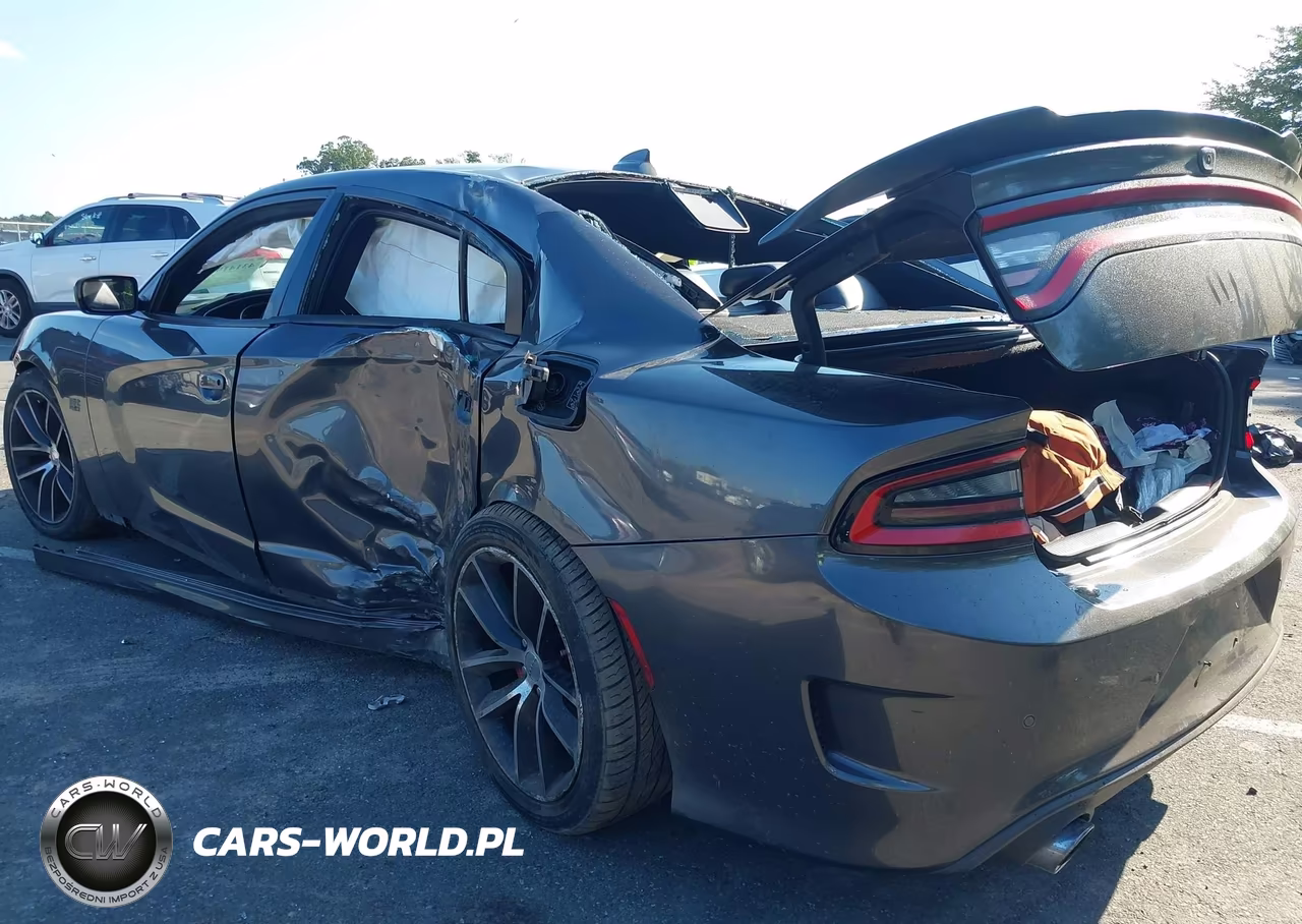 2016 Dodge Charger R-T Scat Pack VIN:2C3CDXGJ0GH132744 - 17