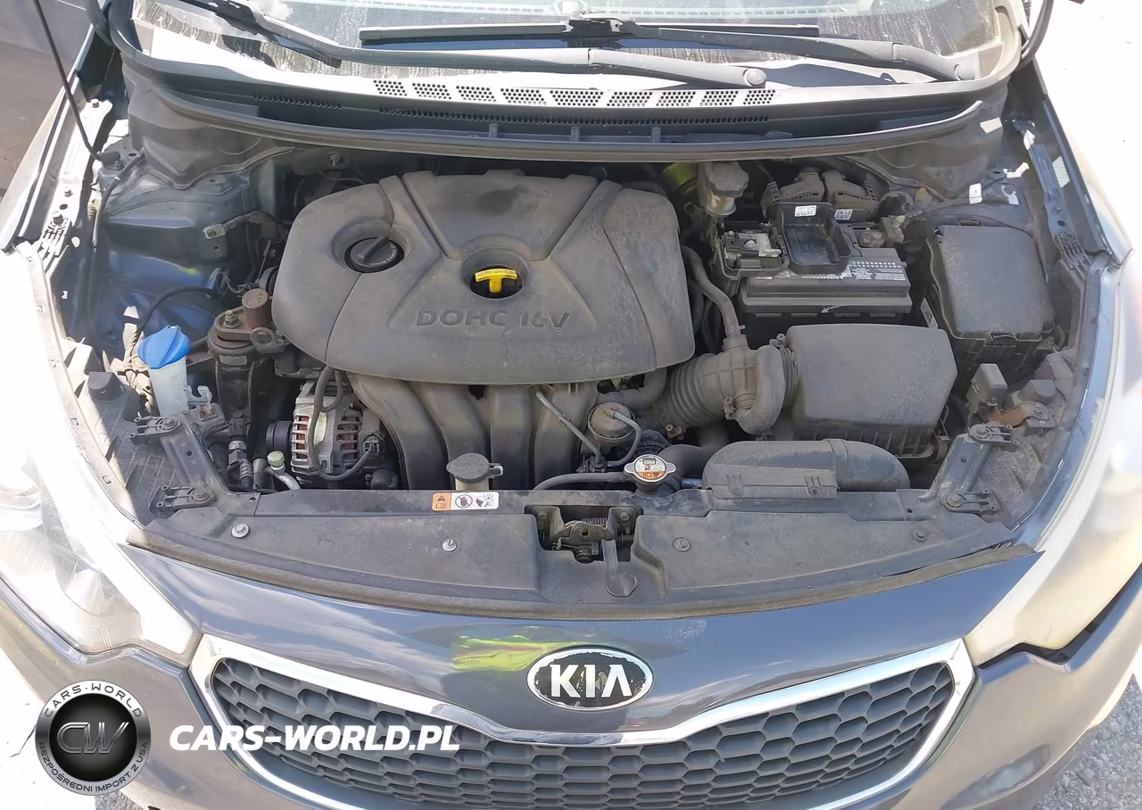 2014 Kia Forte Lx VIN:KNAFX4A61E5148441 - 10