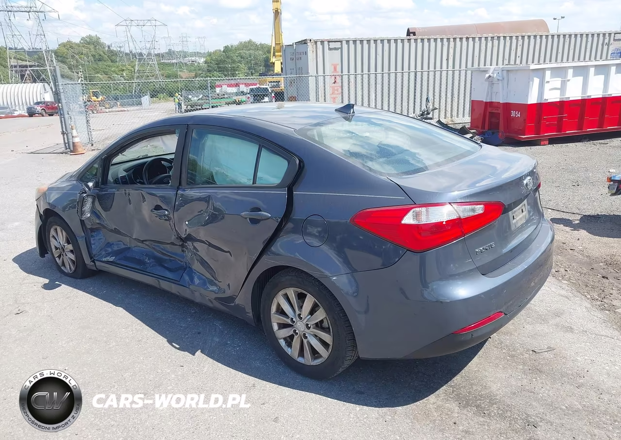 2014 Kia Forte Lx VIN:KNAFX4A61E5148441 - 12