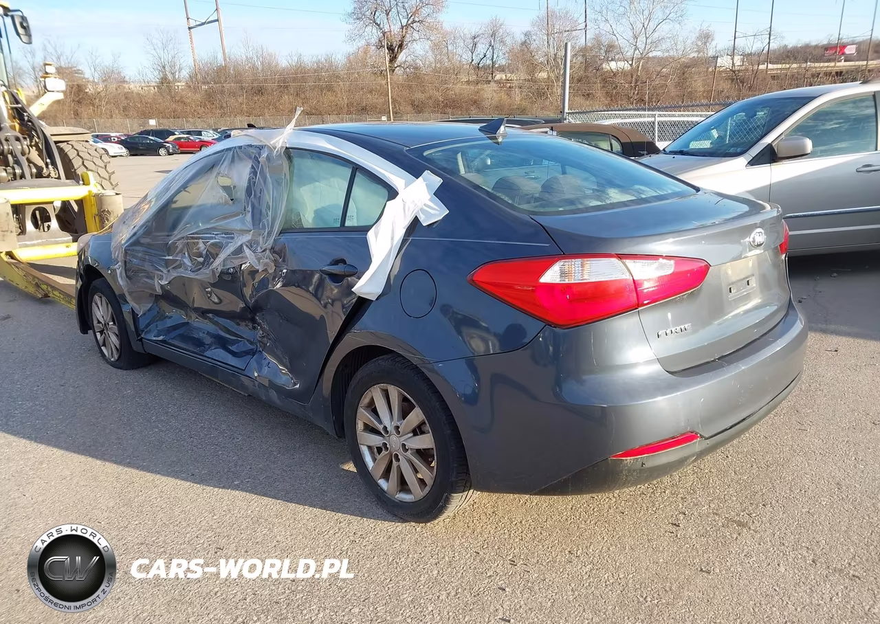2014 Kia Forte Lx VIN:KNAFX4A61E5148441 - 3