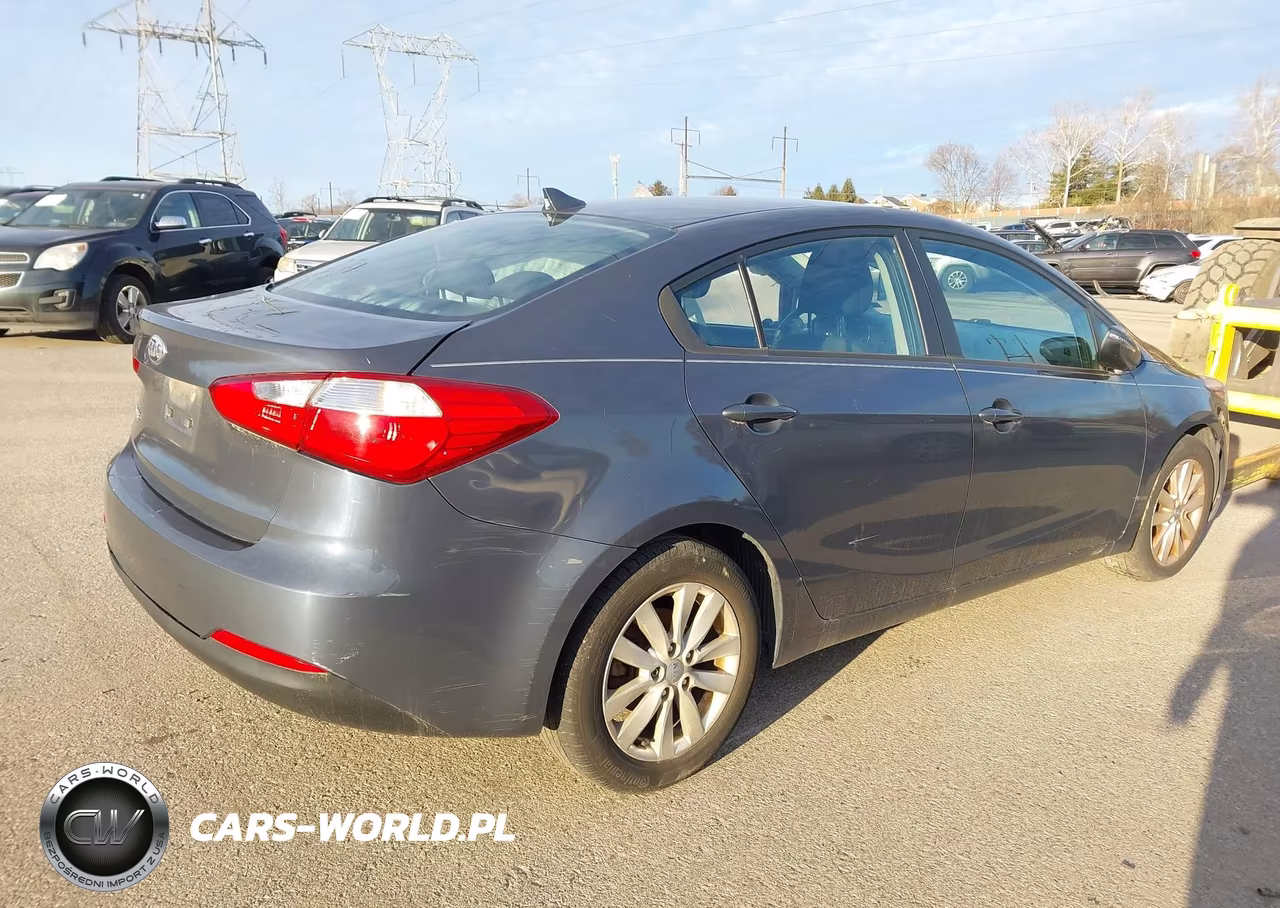2014 Kia Forte Lx VIN:KNAFX4A61E5148441 - 4