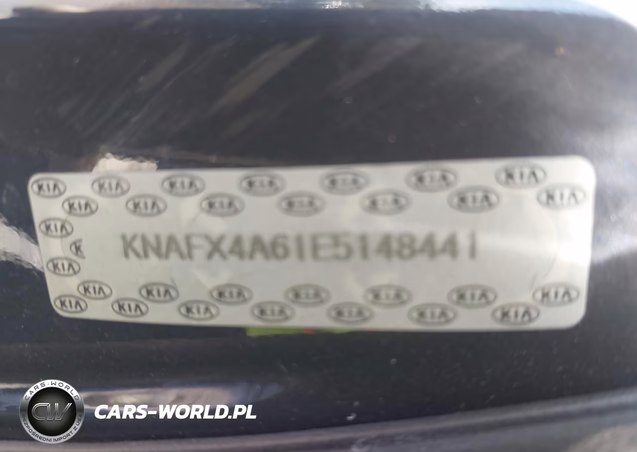 2014 Kia Forte Lx VIN:KNAFX4A61E5148441 - 9