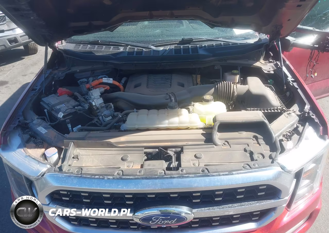 2022 Ford F-150 Platinum VIN:1FTFW1ED0NFC17143 - 10