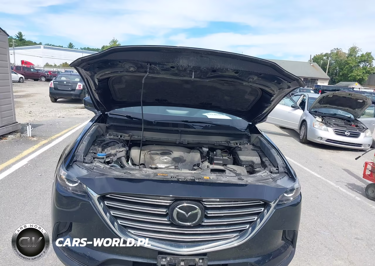 2023 Mazda Cx-9 Touring VIN:JM3TCBCY8P0659317 - 10