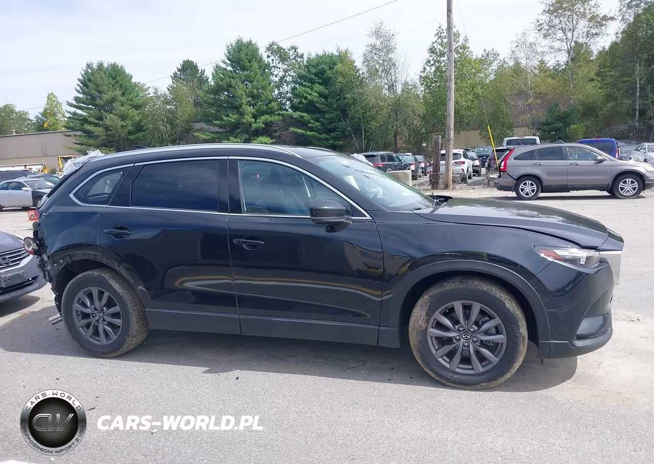 2023 Mazda Cx-9 Touring VIN:JM3TCBCY8P0659317 - 13