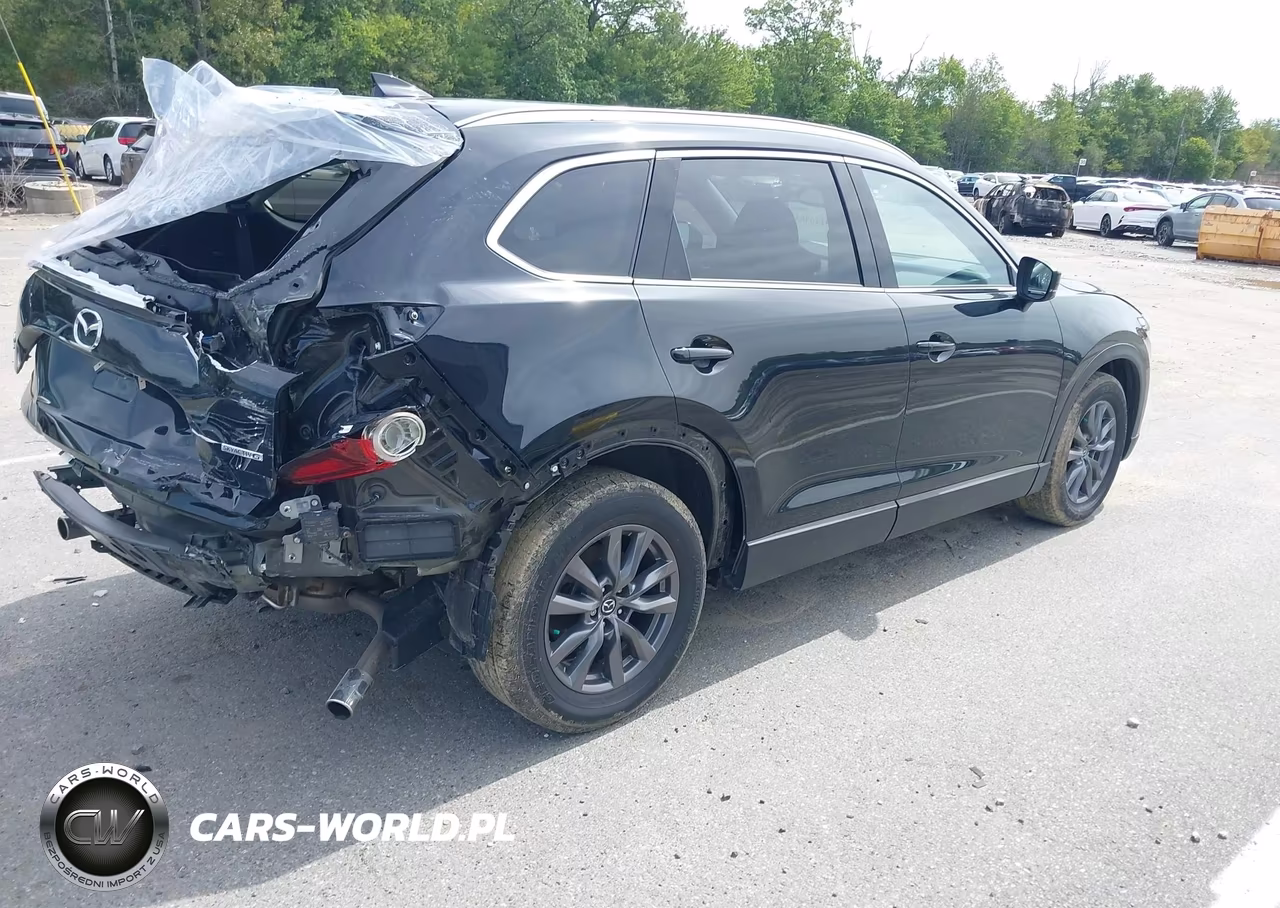 2023 Mazda Cx-9 Touring VIN:JM3TCBCY8P0659317 - 4