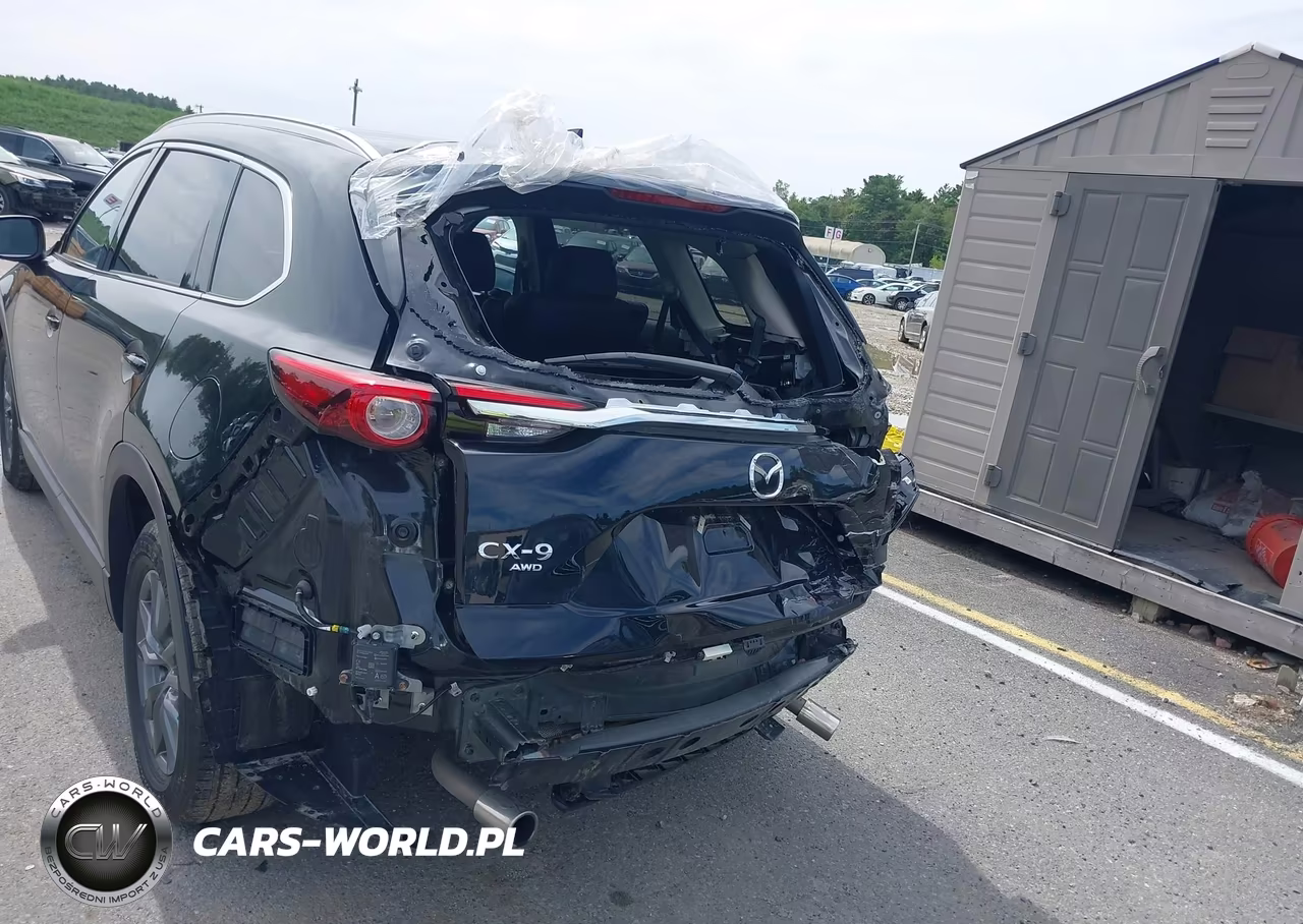 2023 Mazda Cx-9 Touring VIN:JM3TCBCY8P0659317 - 6