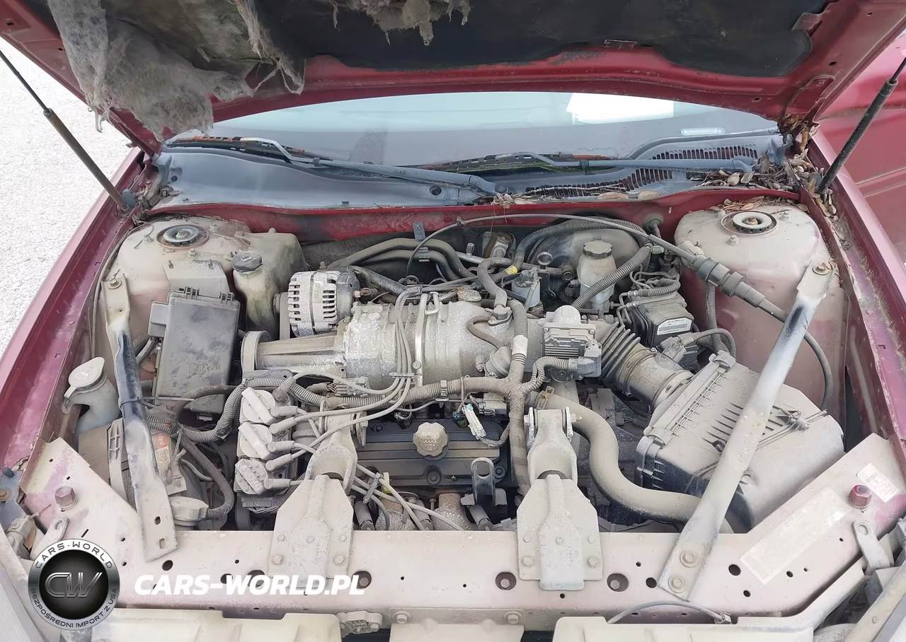 2004 Pontiac Grand Prix Gtp VIN:2G2WR524341230885 - 10