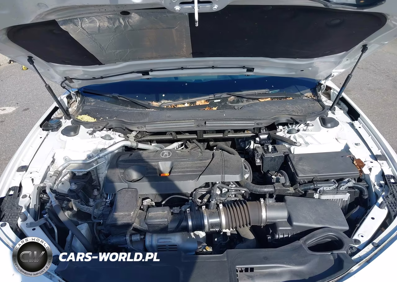 2021 Acura Tlx Standard VIN:19UUB5F33MA006290 - 10