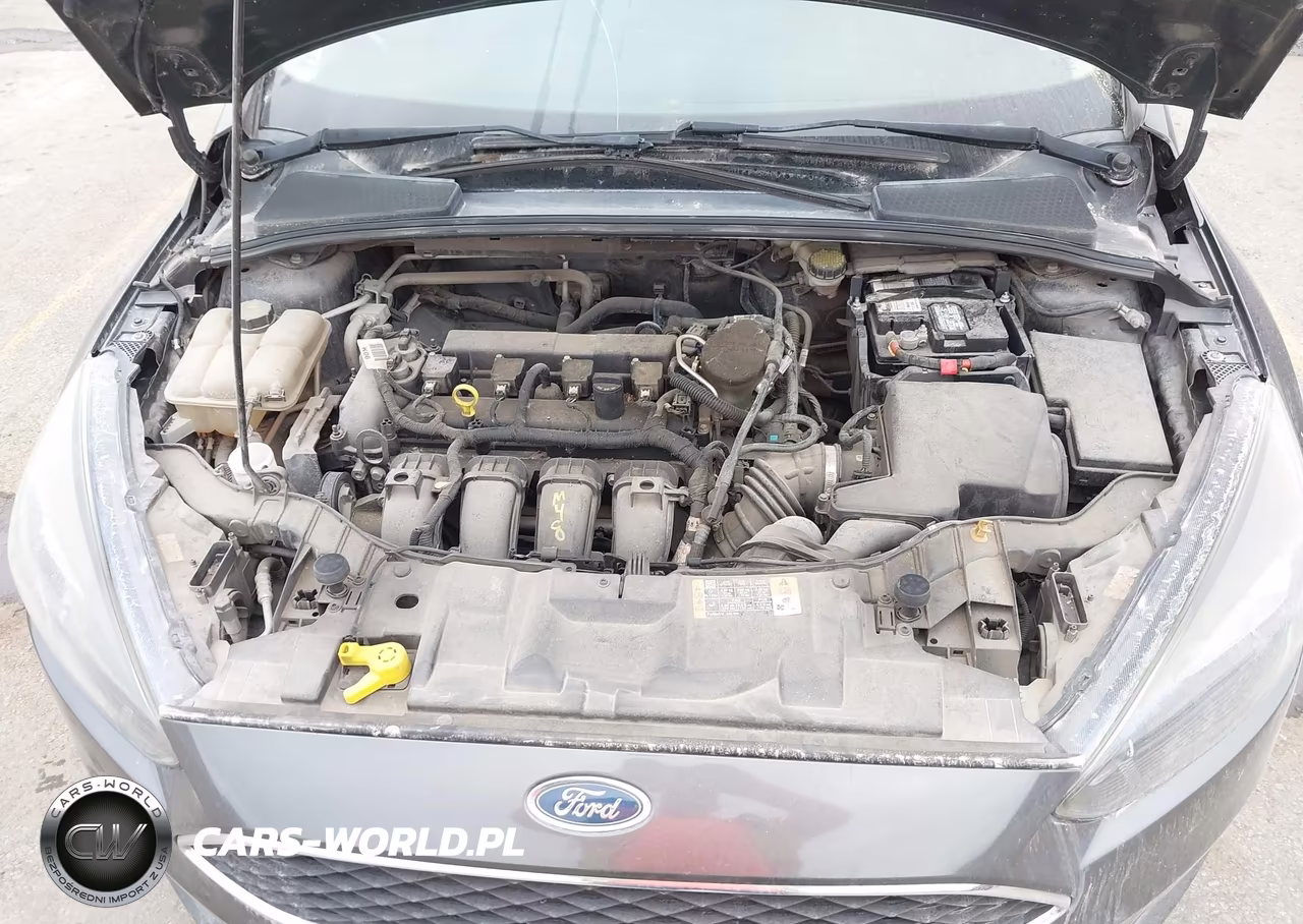 2016 Ford Focus Se VIN:1FADP3K20GL288968 - 10