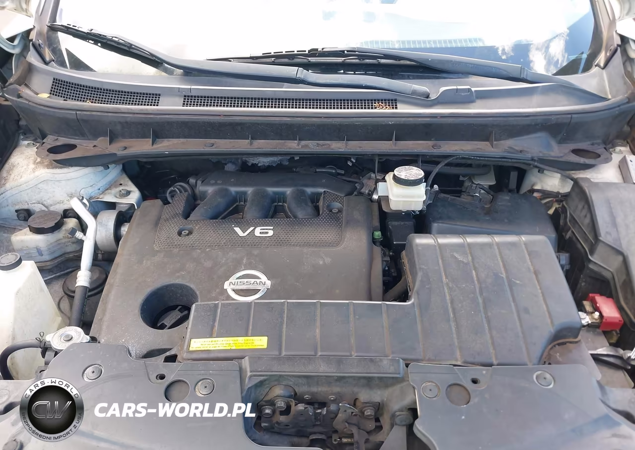 2009 Nissan Murano S VIN:JN8AZ18U39W009801 - 10
