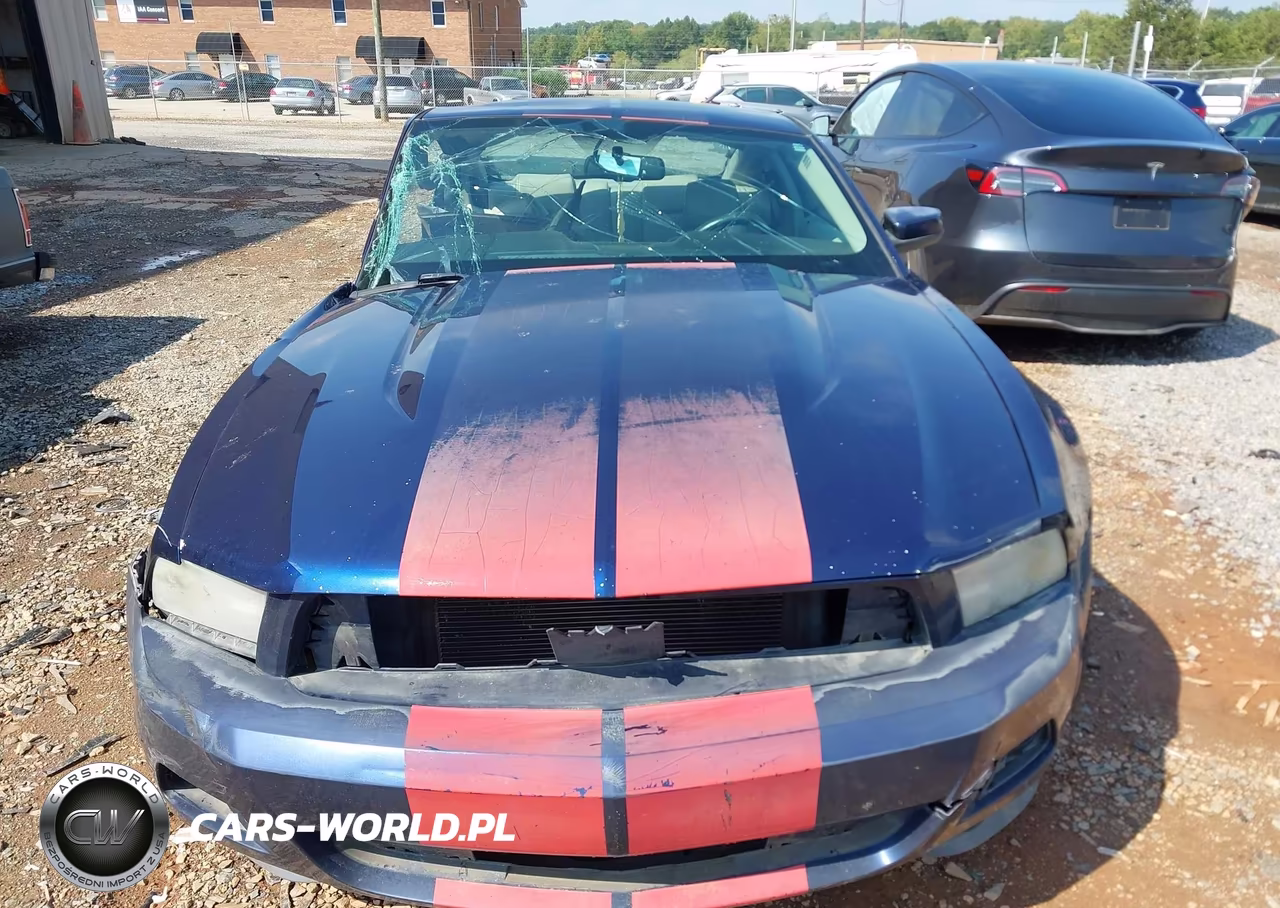 2010 Ford Mustang V6-V6 Premium VIN:1ZVBP8AN7A5123454 - 12
