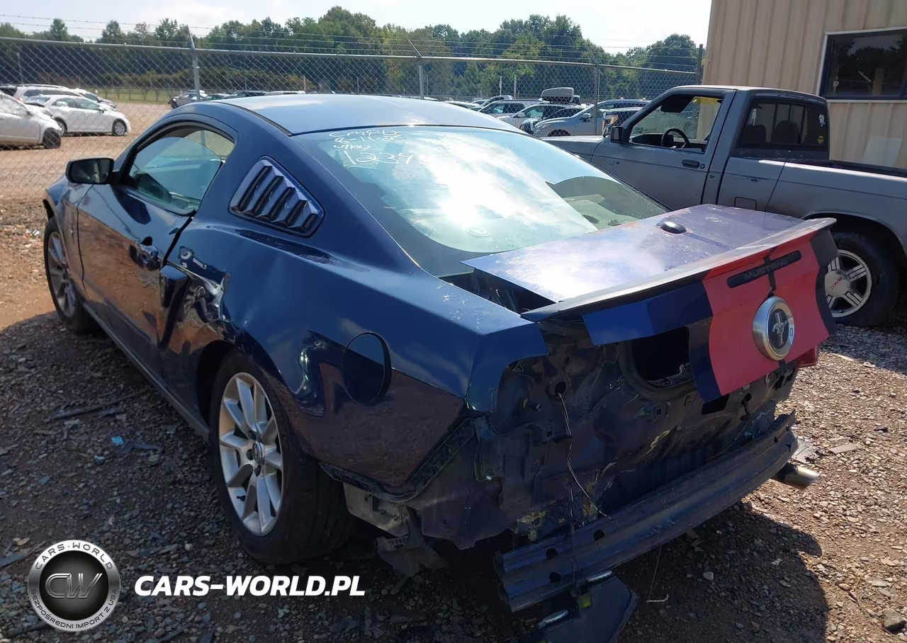 2010 Ford Mustang V6-V6 Premium VIN:1ZVBP8AN7A5123454 - 3