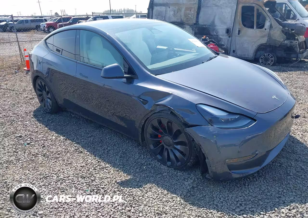 2023 Tesla Model Y Performance Dual Motor All-Wheel Drive