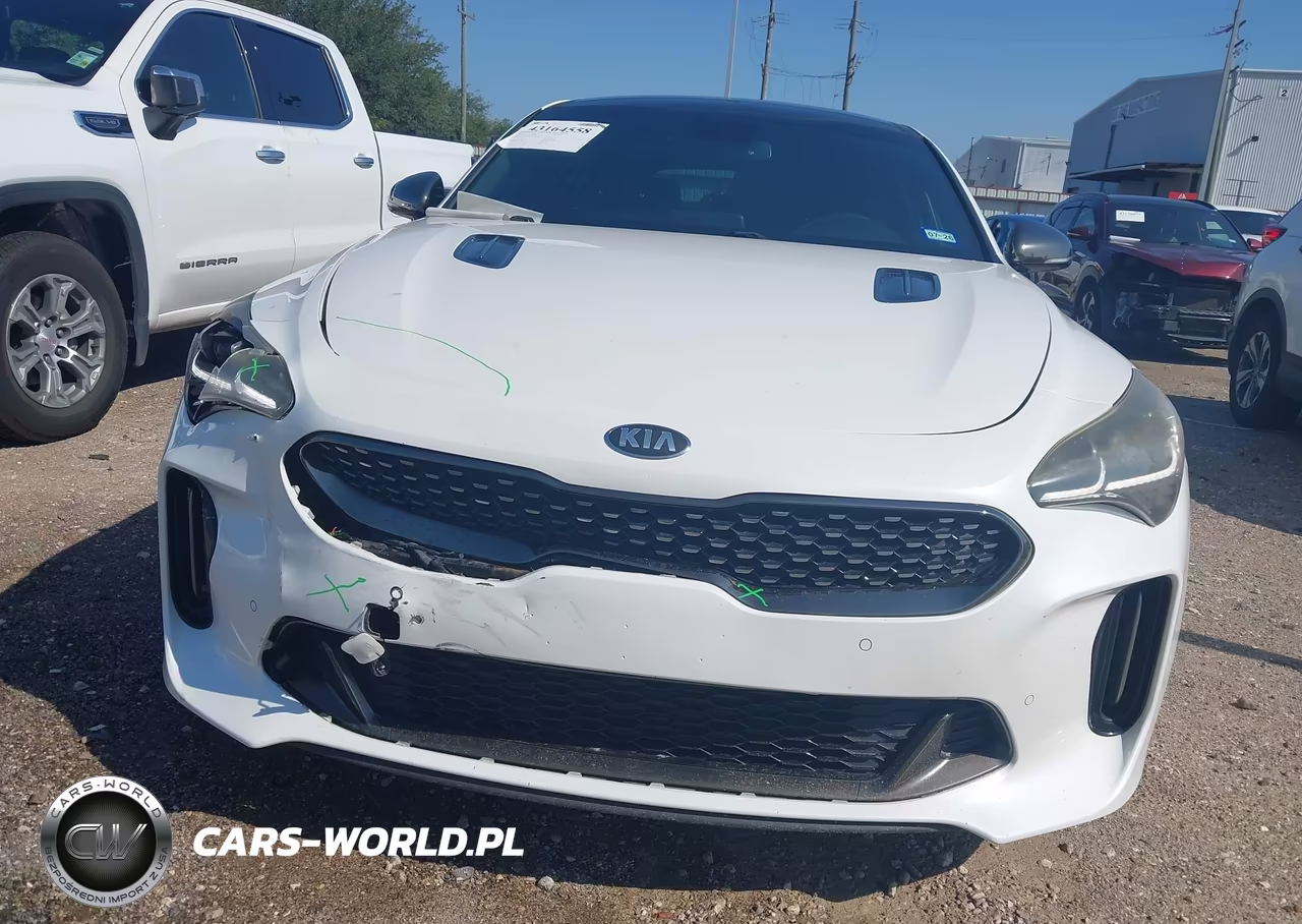2018 Kia Stinger Gt1 VIN:KNAE45LC0J6039874 - 13