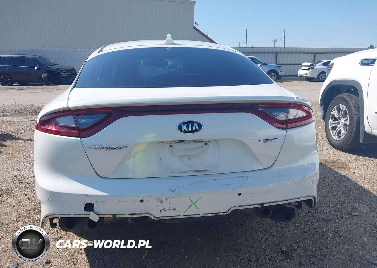 2018 Kia Stinger Gt1 VIN:KNAE45LC0J6039874 - 17