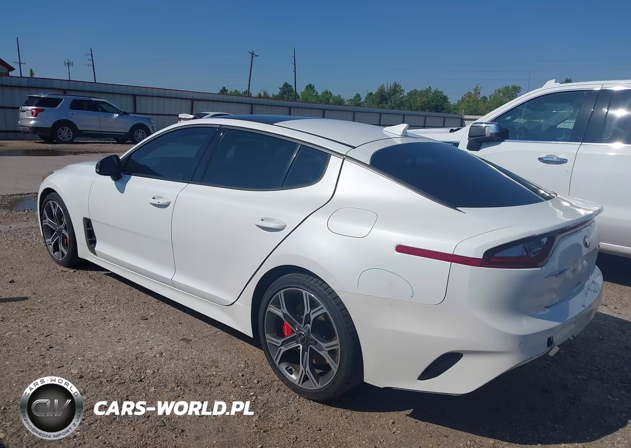 2018 Kia Stinger Gt1 VIN:KNAE45LC0J6039874 - 3