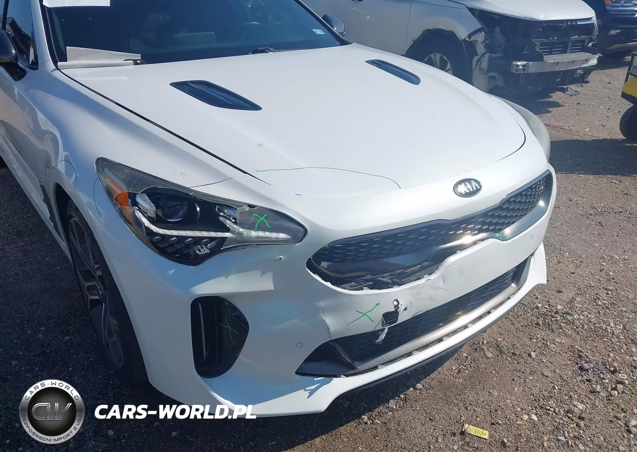 2018 Kia Stinger Gt1 VIN:KNAE45LC0J6039874 - 6